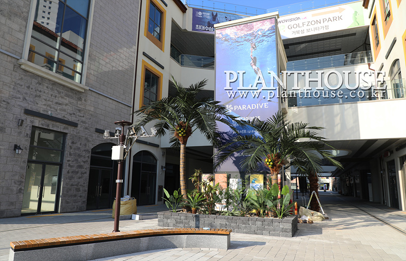 인조야자수 설치