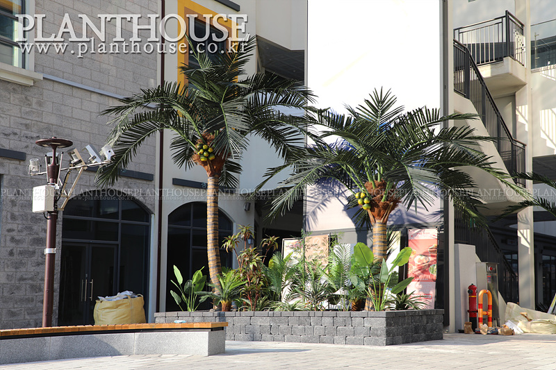 시화 쇼핑물 인조야자수