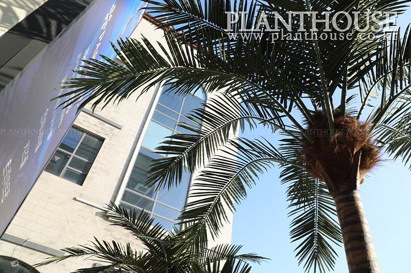 인조야자수 고급형