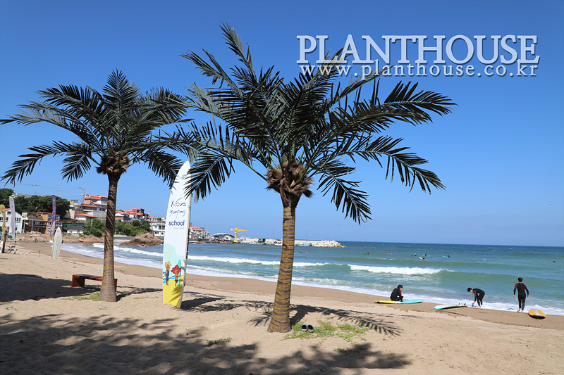 인조야자수 실외조경