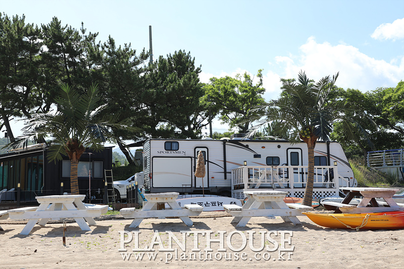 인공야자수 실외조경