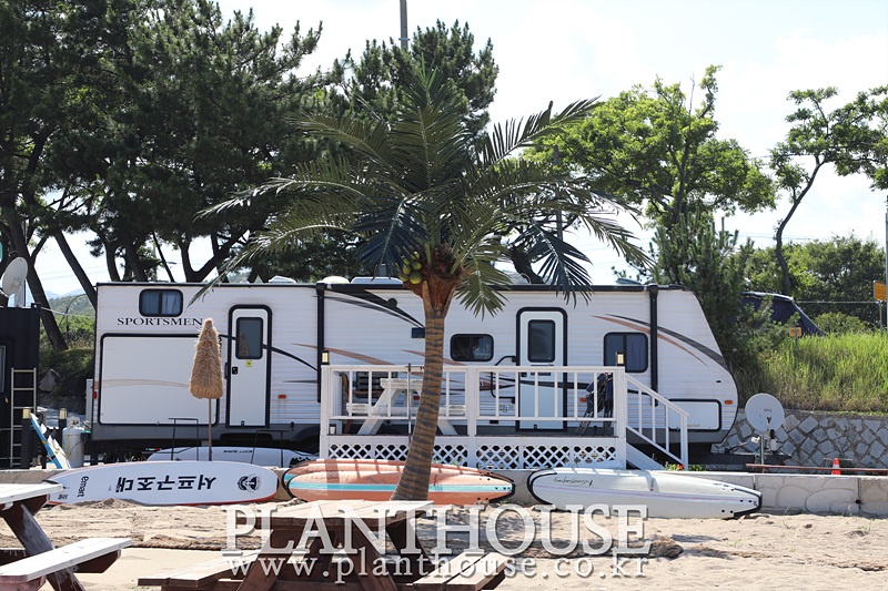 프리미엄 인조야자수