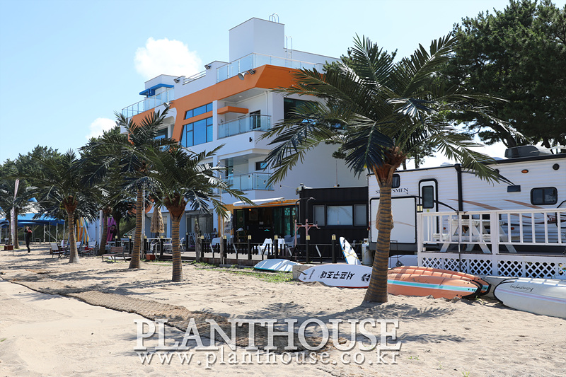 인공야자수 조경