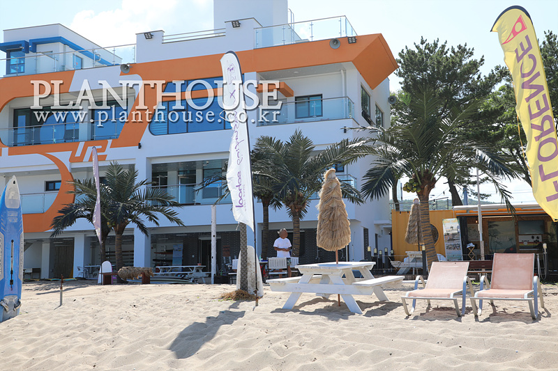 인조야자수 바닷가