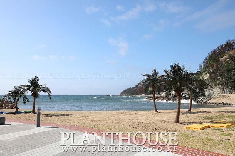 인조야자수 고급형