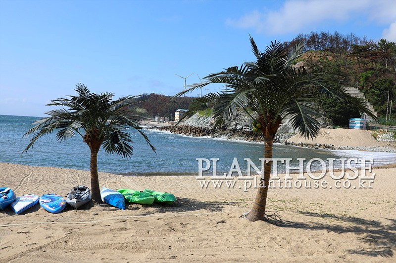 플랜트하우스 자체 제작 인조야자수