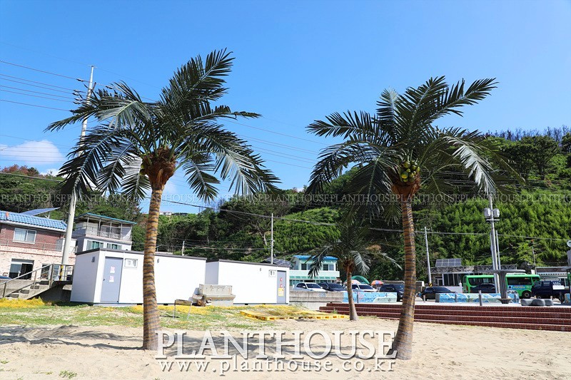 인조야자수 전문 플랜트하우스