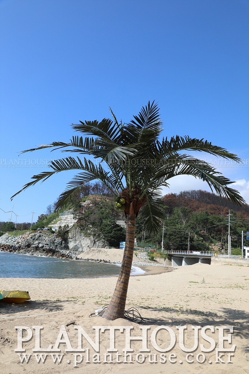 인조야자수 전문 플랜트하우스