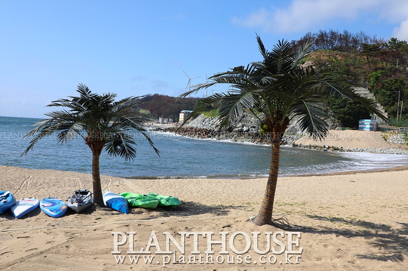 인조야자수 설치 전문