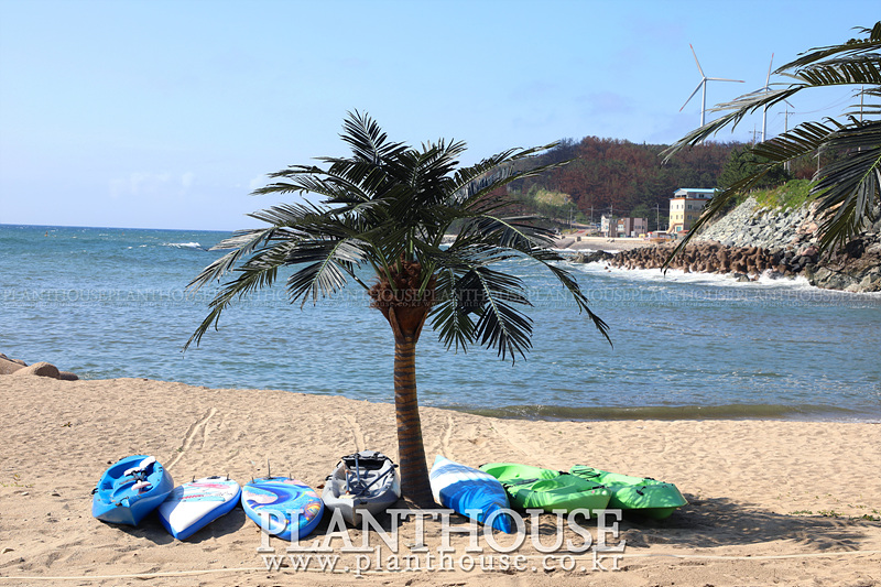 바닷가와 잘 어울리는 인조야자수