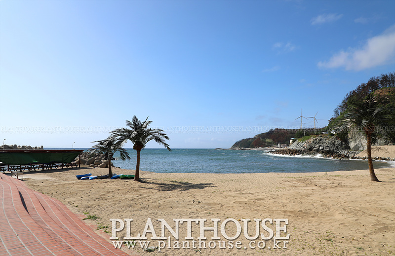 인조야자수 조경