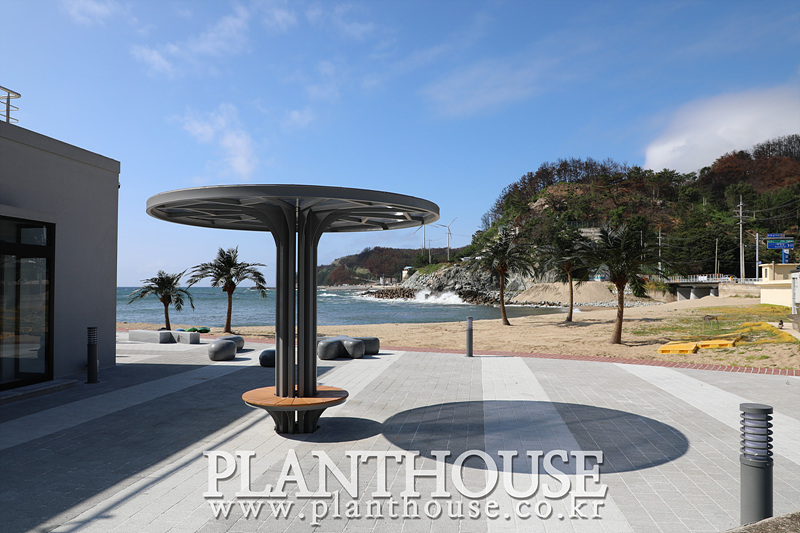 인공야자수 조경