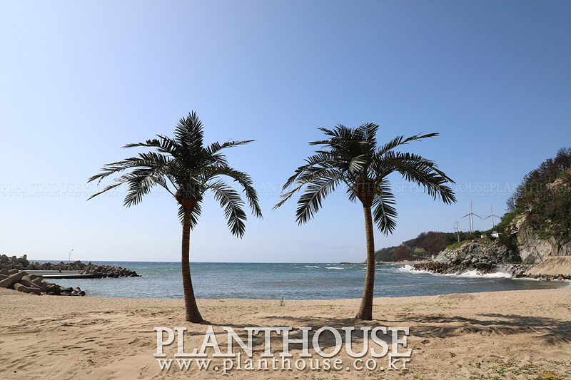 인조야자수 전문 업체