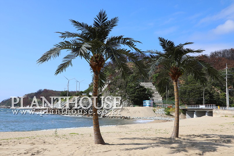 휴양지 분위기를 연출하는 인조야자수