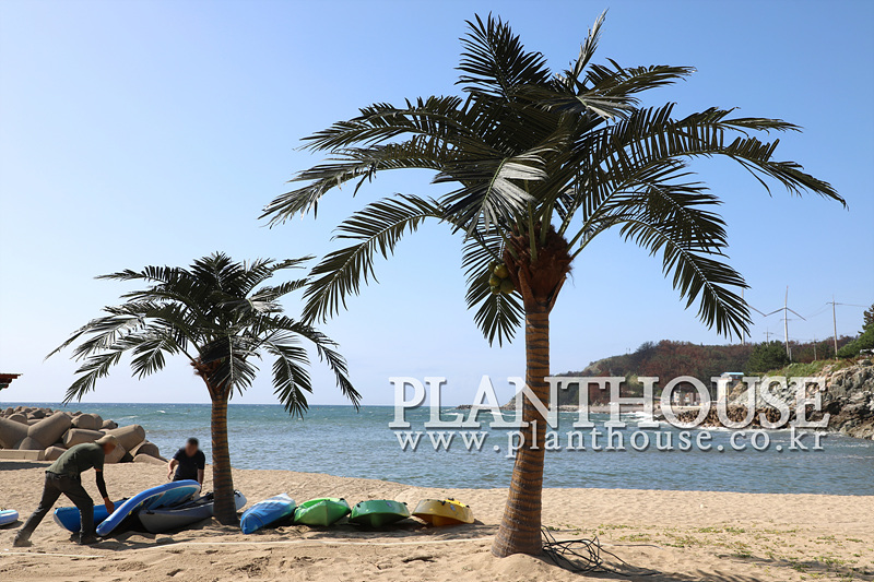 대형인조야자수 설치