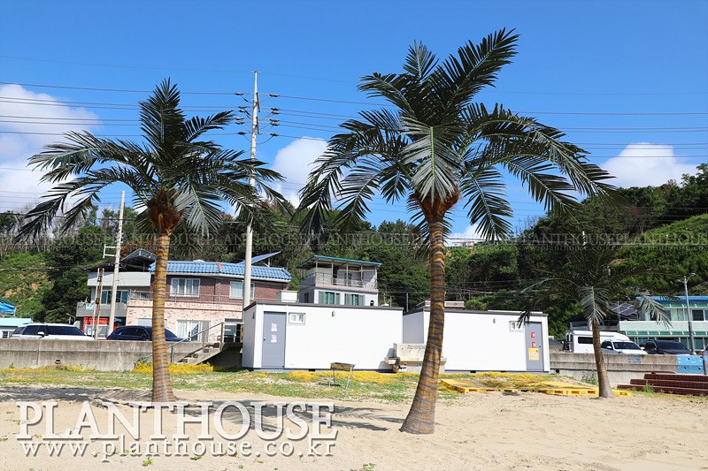 인공야자수 고급형