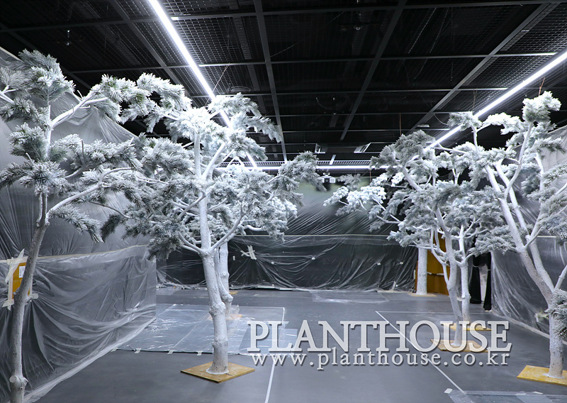 공주 백제문화전당 인조소나무