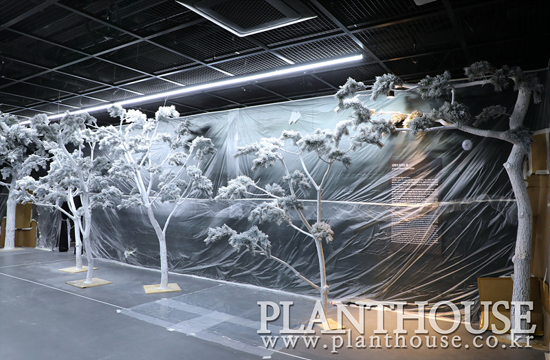 박물관 소나무 연출