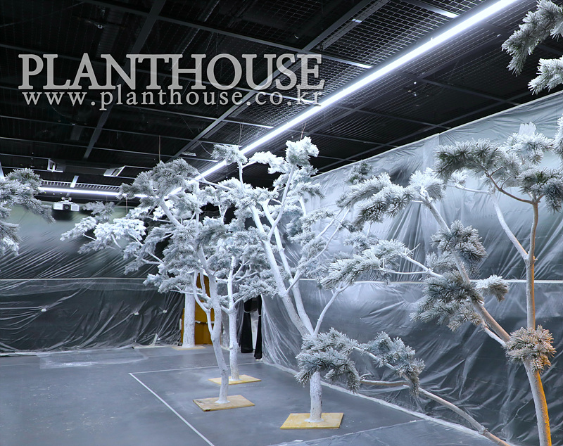 겨울 소나무 제작