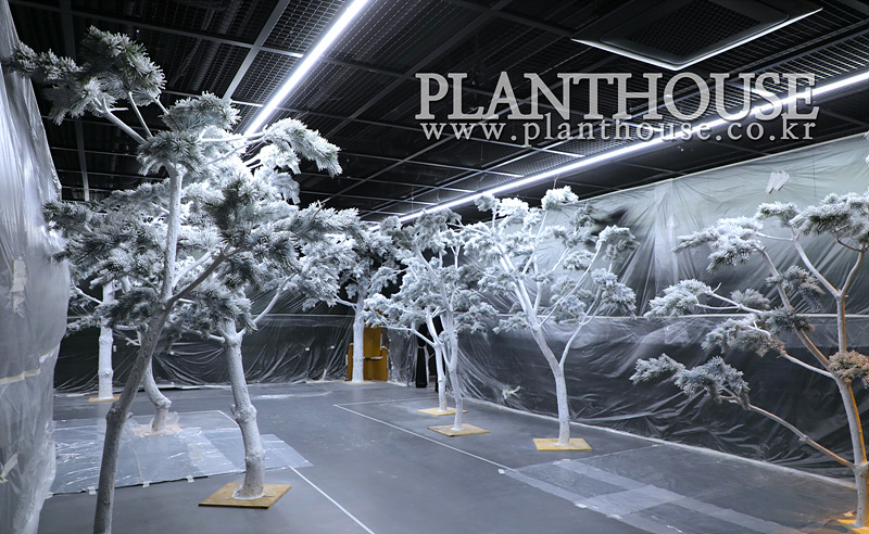 박물관에 연출한 인조소나무