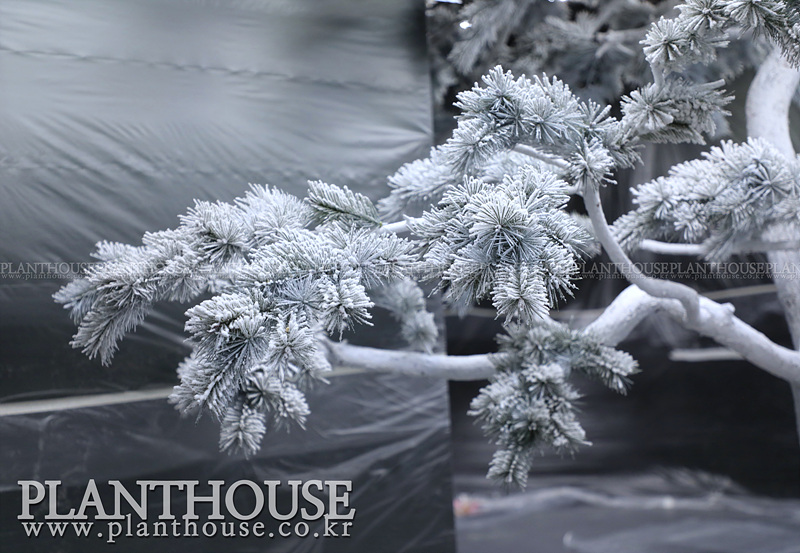 눈 쌓인 인조소나무 연출