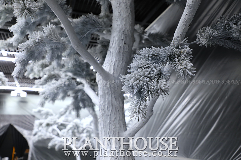 겨울 인조소나무 연출