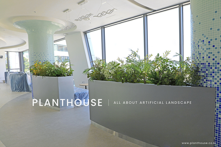 실내 플랜터 연출 ©PLANTHOUSE