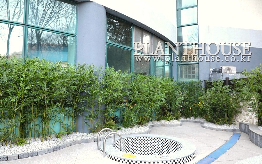 인조대나무 조경