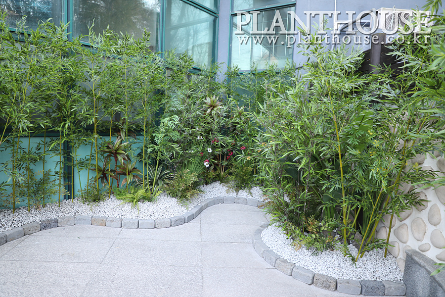 대나무 플랜테리어