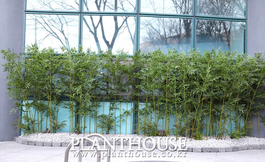 대나무 조화조경