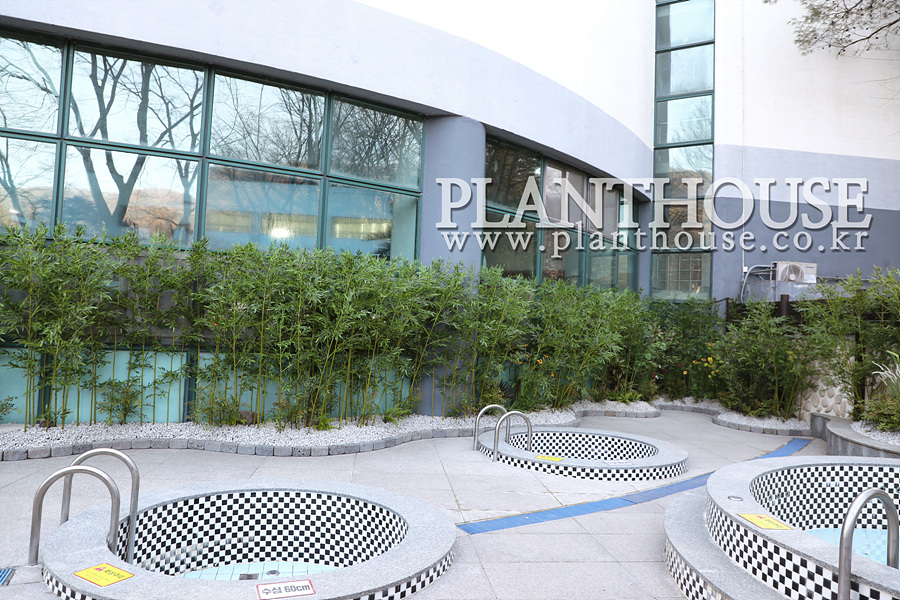 대나무 플랜테리어