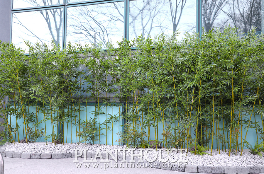 인조대나무 화단 연출