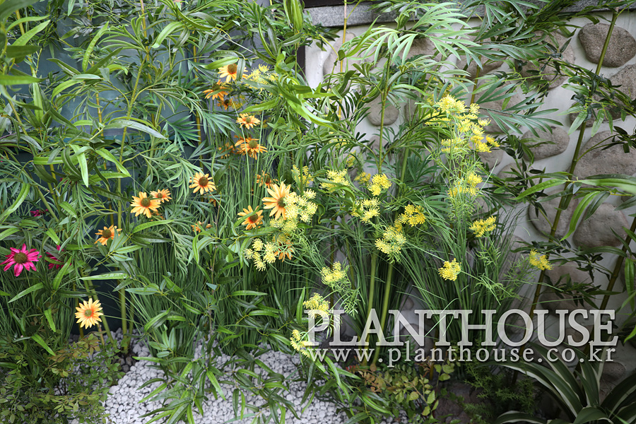 아쿠아나 인조대나무 연출