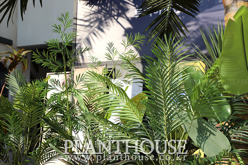 인조 극락조와 아레카