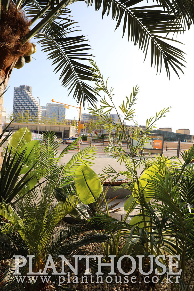 자연광에 비친 인조식물