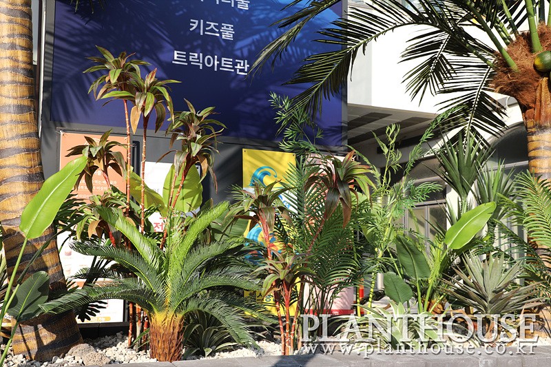 열대식물 화단 플랜테리어