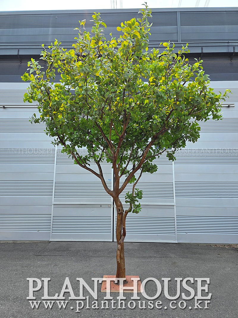 인조나무 조경 연출