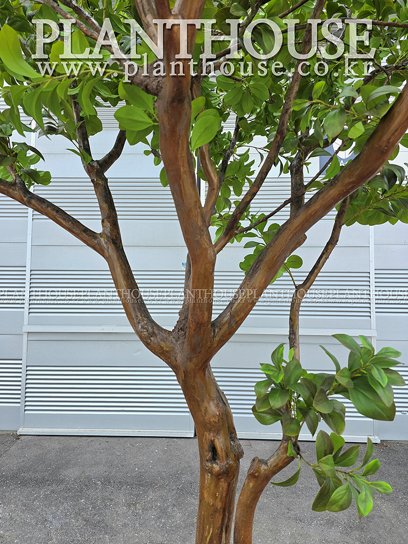 인조나무 제작납품