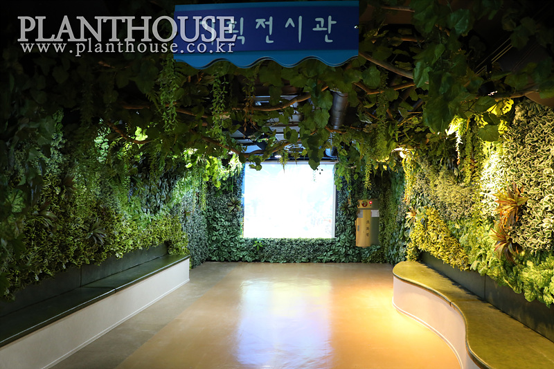 아쿠아리움 인조식물 벽면녹화