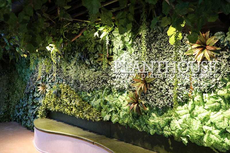 Aquarium artificial plant wall