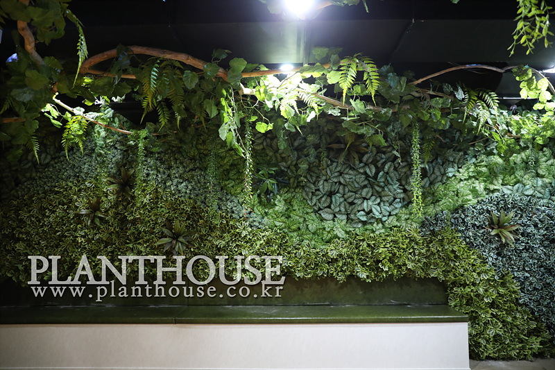 아쿠아리움 플랜트월 연출