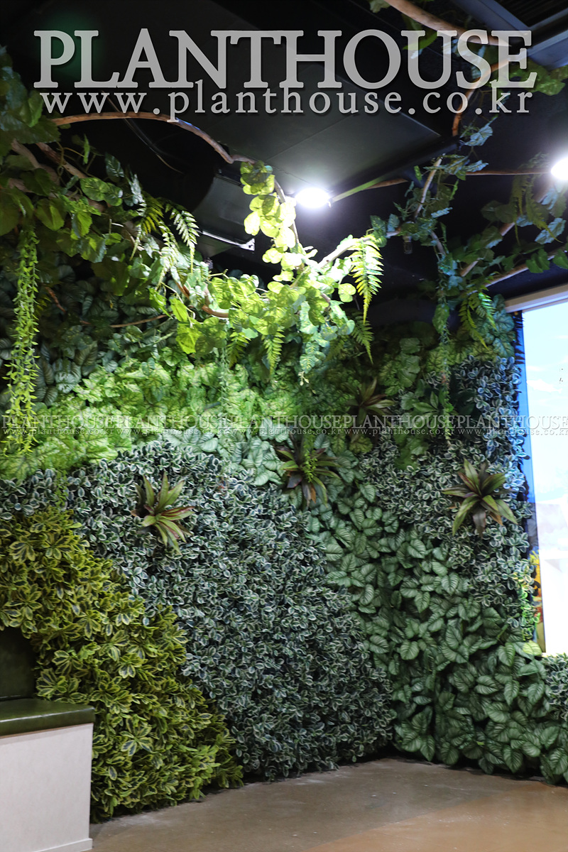 벽면 플랜테리어 연출