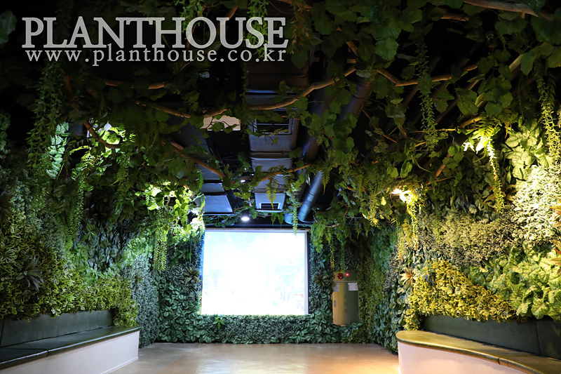 아쿠아리움 인조식물 플랜트월