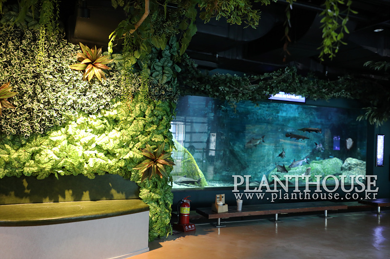 아쿠아리움 벽면 식물 연출