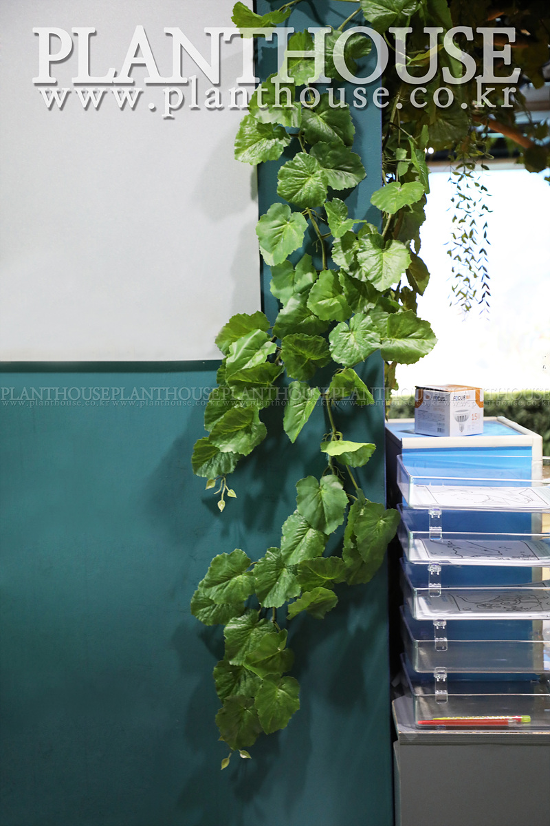 아쿠아리움 조경