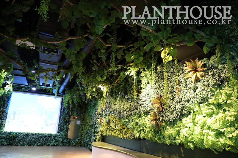 민물고기 아쿠아리움 인조식물 벽면녹화