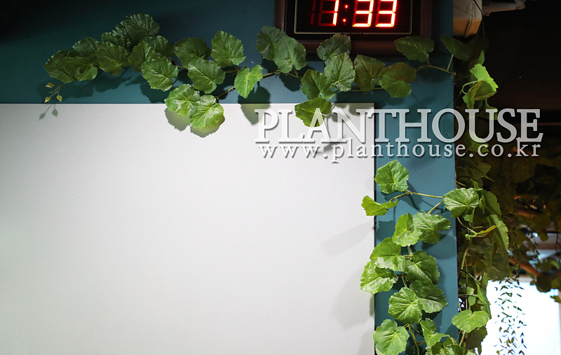 수족관 벽면녹화