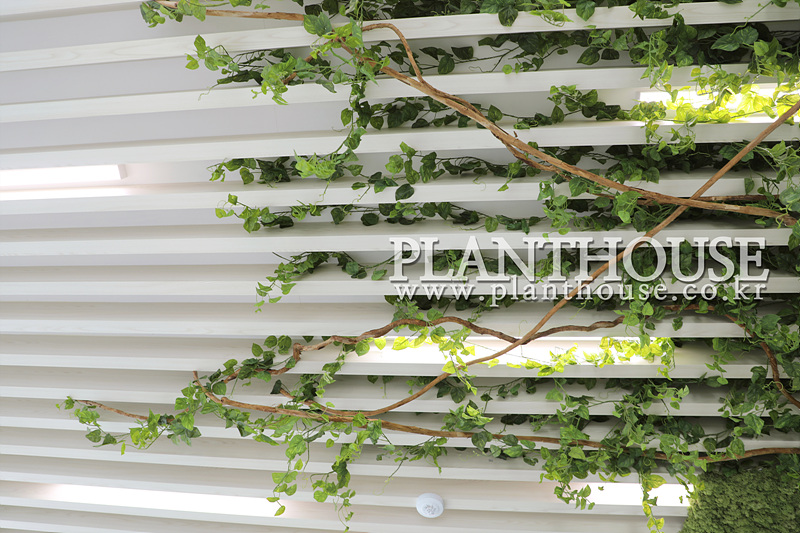 플랜테리어전문업체