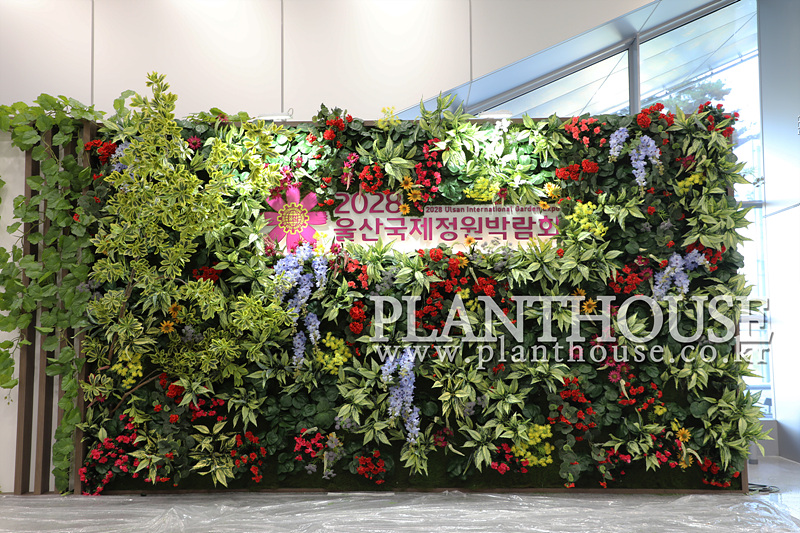 plantwall landscpae