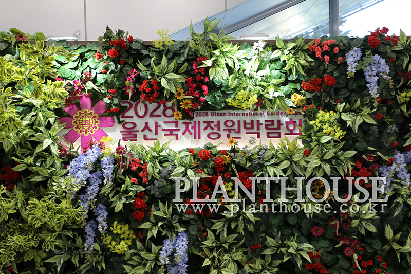 울산 벽면녹화 연출